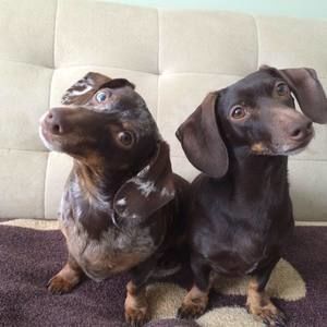 Meet your Posher, Jim